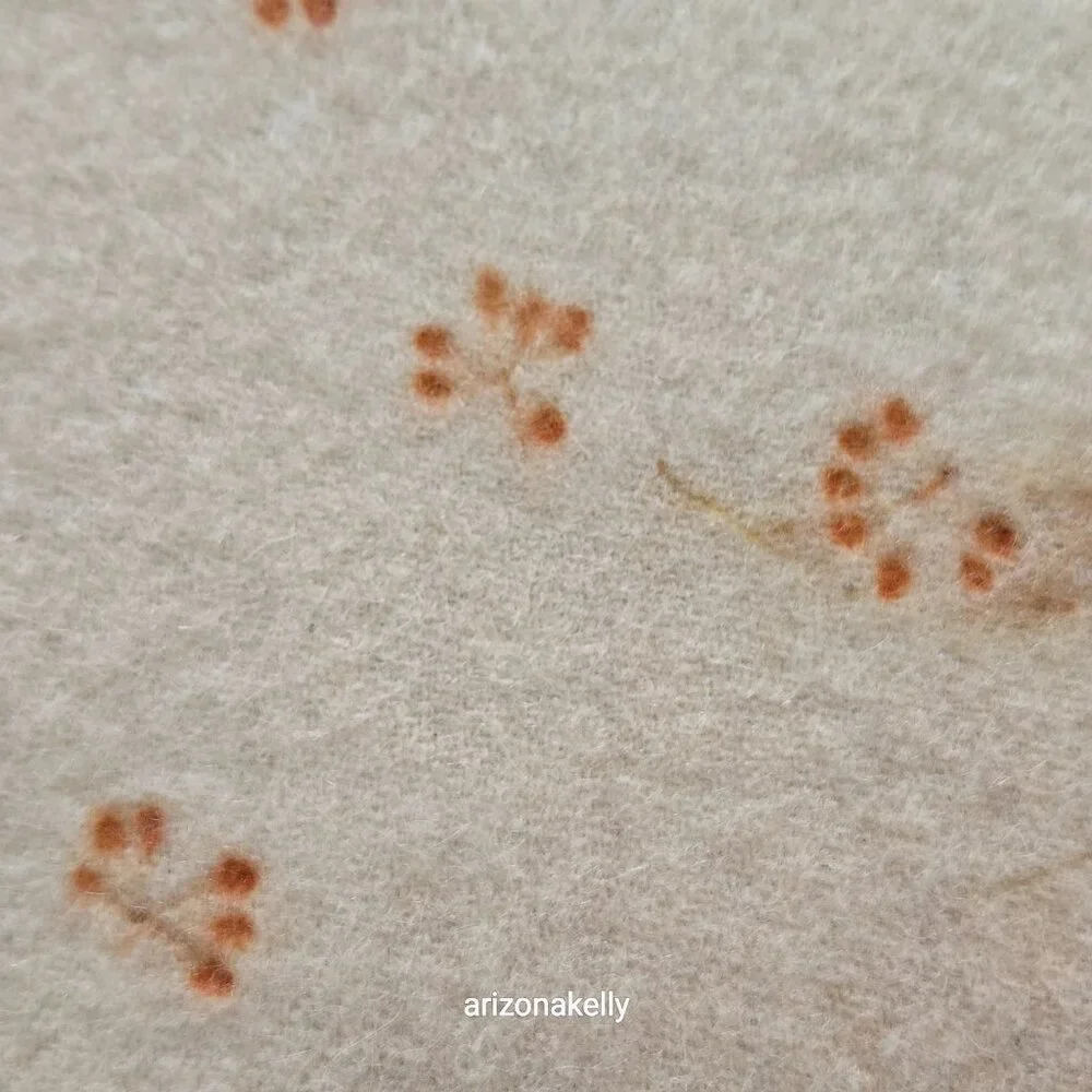 NWOT Handmade Wool Scarf Botanical Natural Dye Plants Eco Print Mayumix Designs - Picture 10 of 15